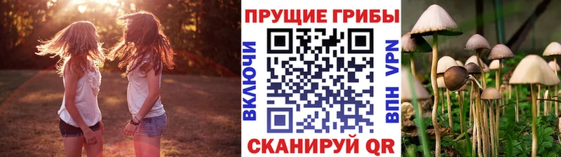 Псилоцибиновые грибы мицелий Минусинск